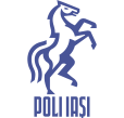 Logo Politehnica Iași